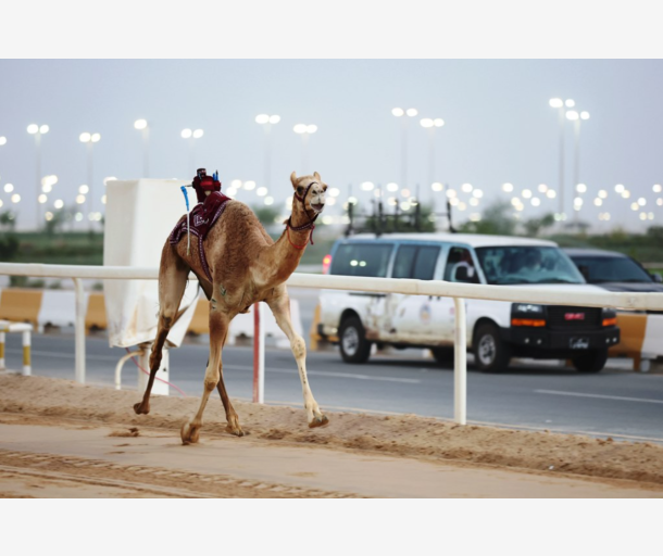 alarab