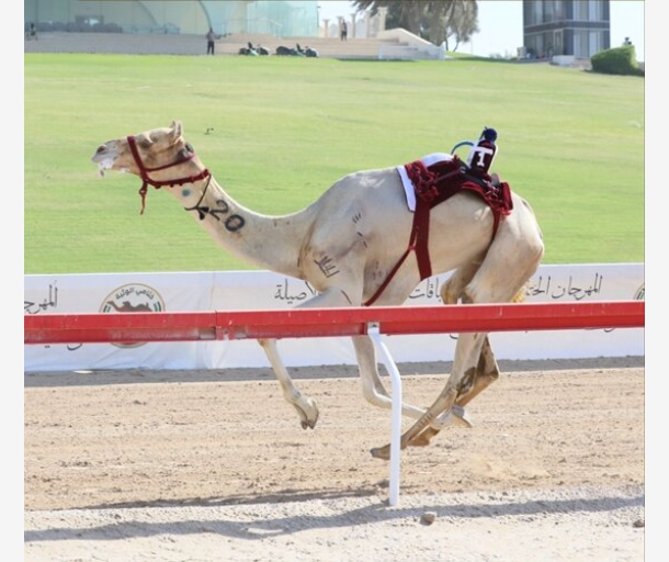 alarab