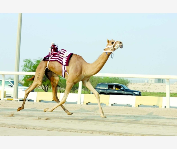 alarab