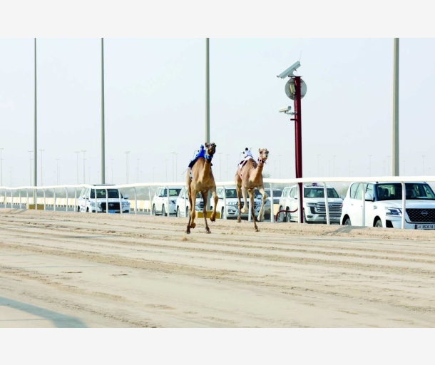 alarab