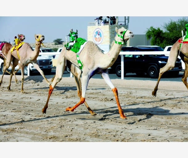 alarab