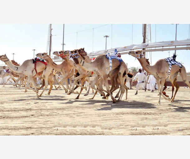 alarab