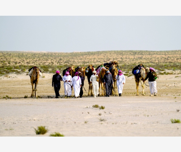 alarab