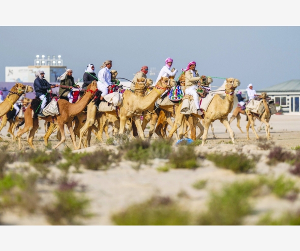 alarab