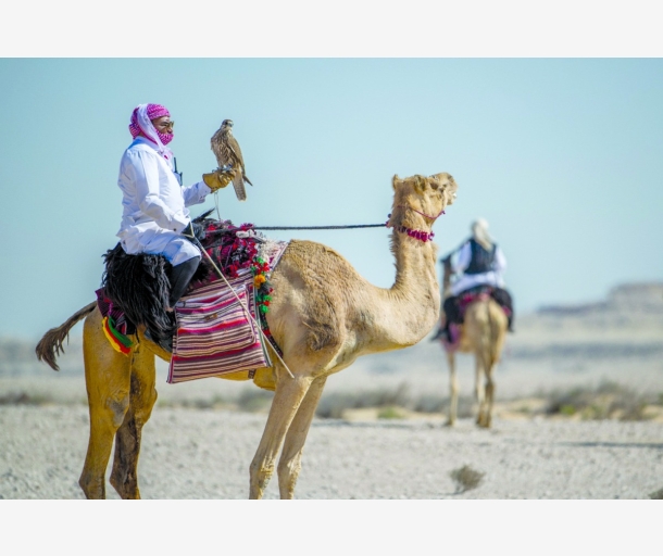 alarab