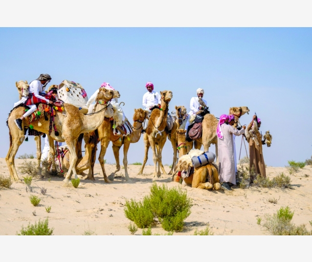alarab