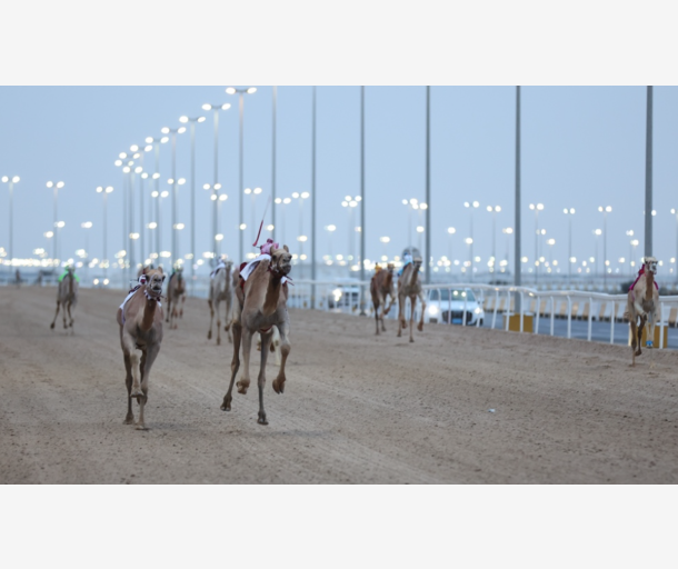 alarab