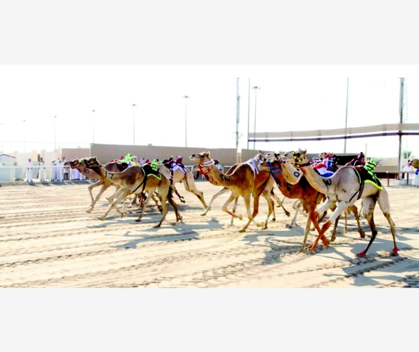 alarab