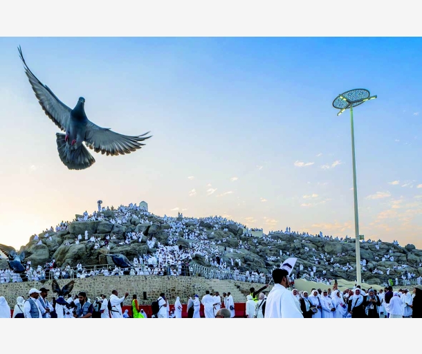 alarab