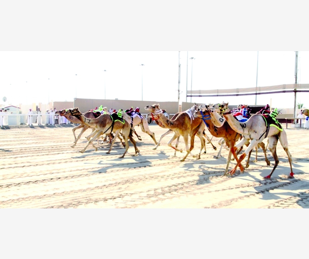 alarab