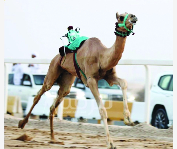 alarab