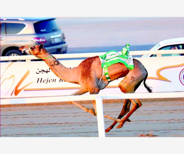 alarab