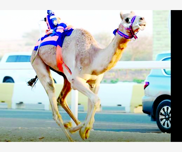 alarab
