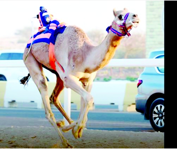 alarab