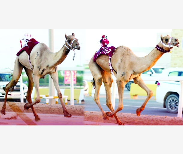 alarab