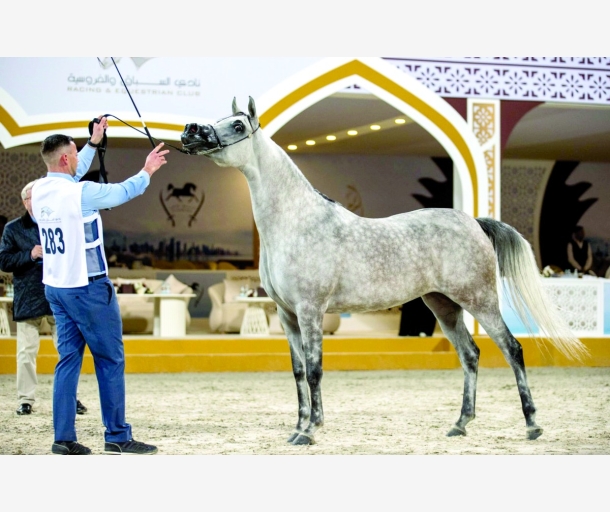 alarab