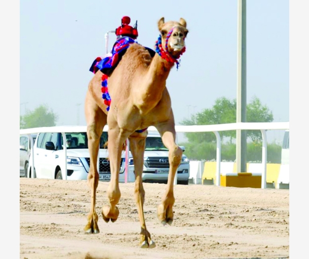 alarab