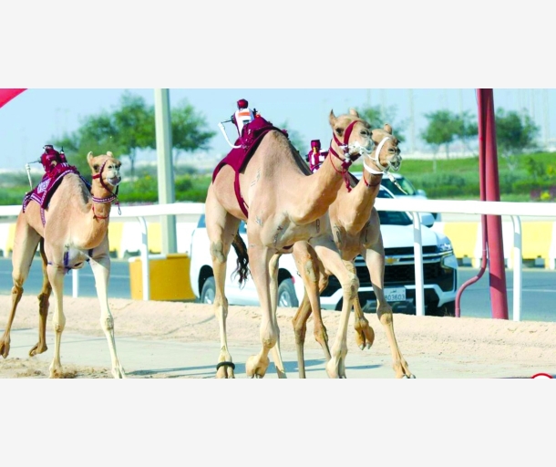 alarab