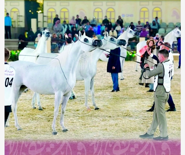 alarab