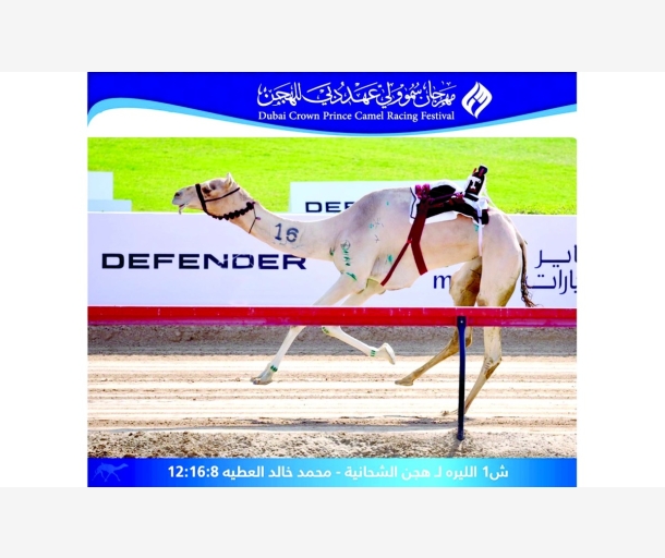 alarab