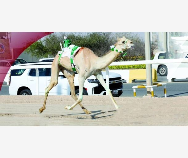alarab
