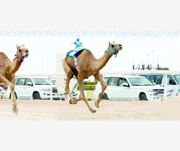 alarab