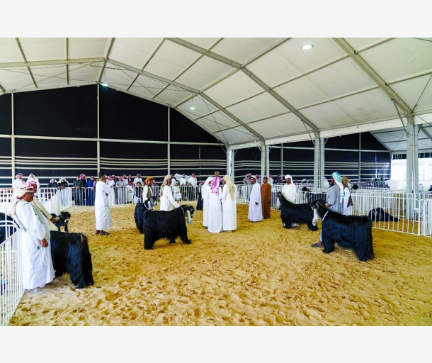 alarab