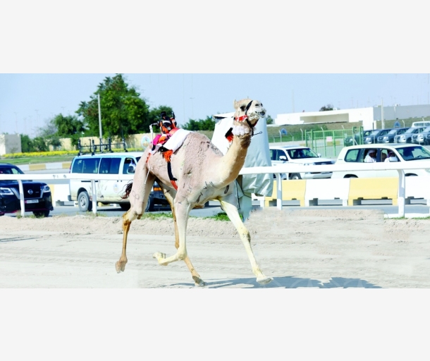 alarab