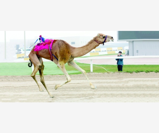 alarab
