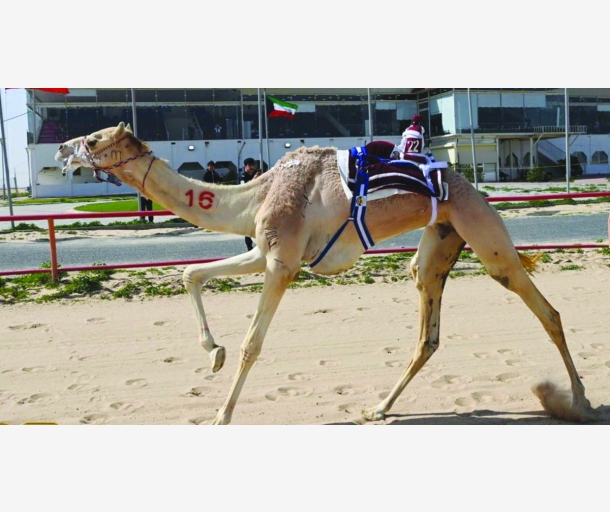 alarab