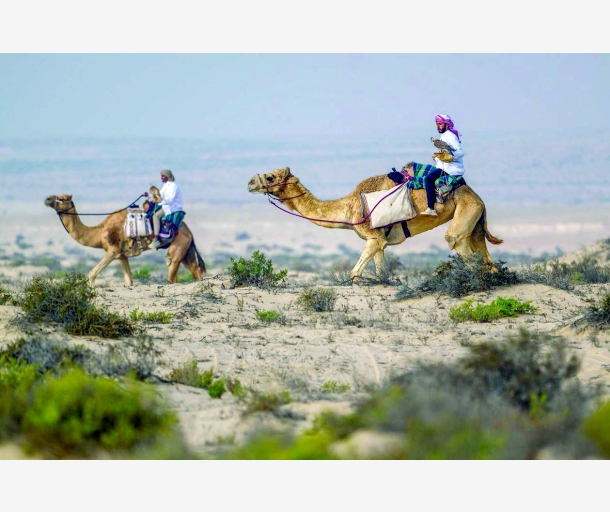 alarab