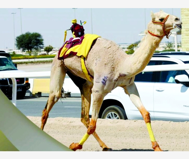 alarab