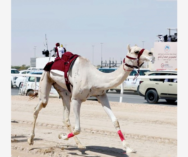 alarab