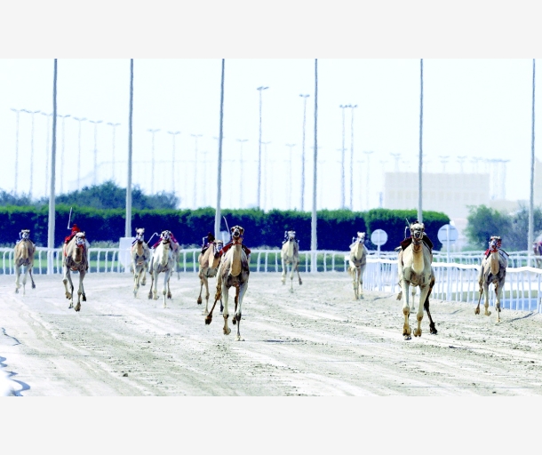 alarab