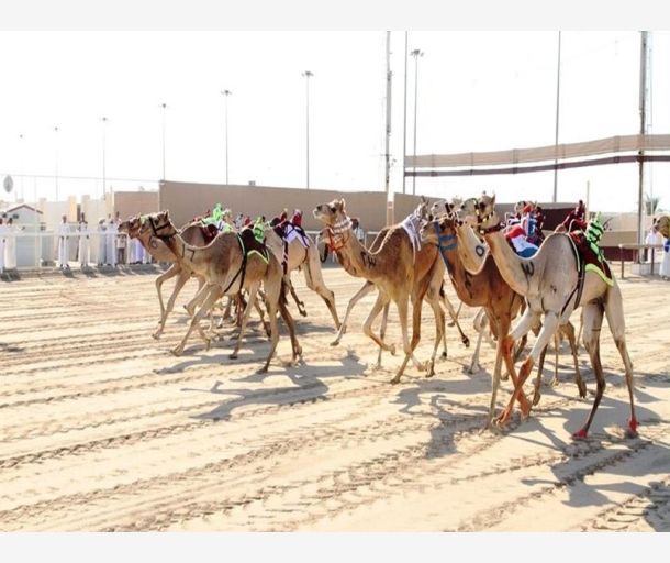 alarab