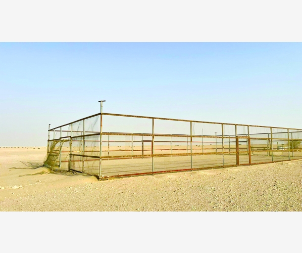 alarab