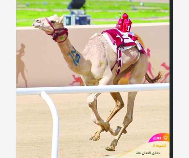 alarab