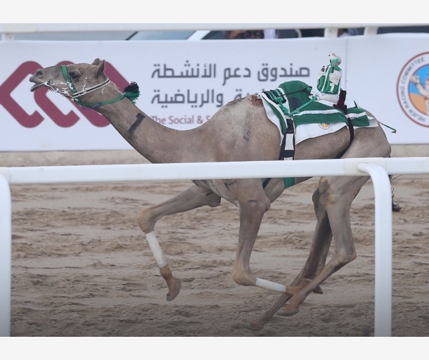 alarab