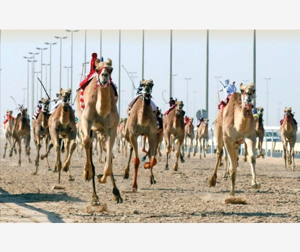 alarab