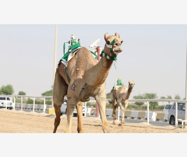 alarab