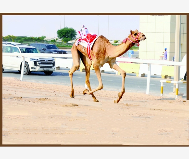 alarab