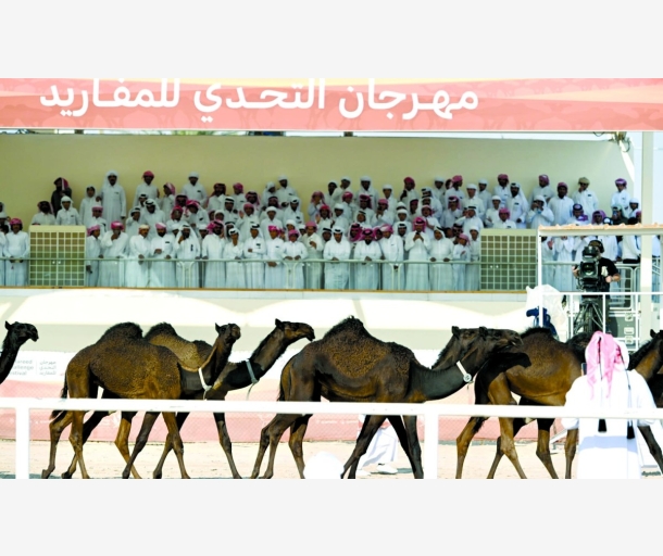 alarab