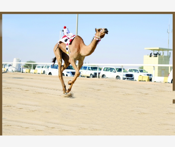 alarab