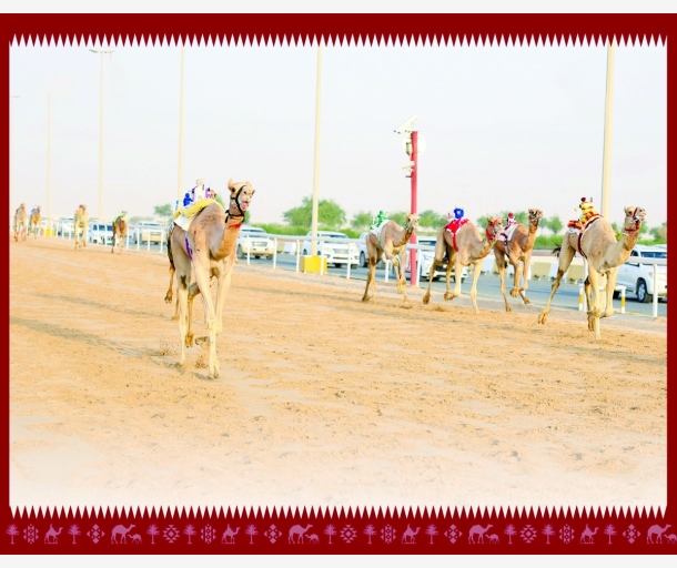 alarab