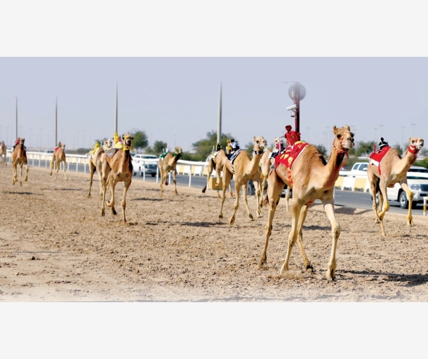alarab