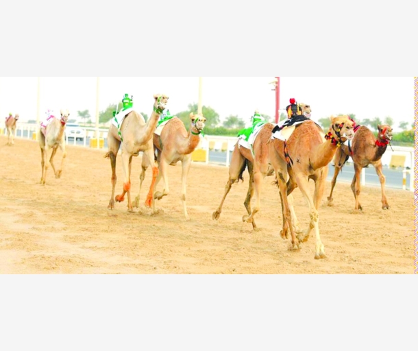 alarab