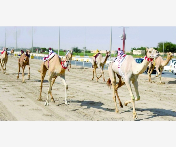 alarab