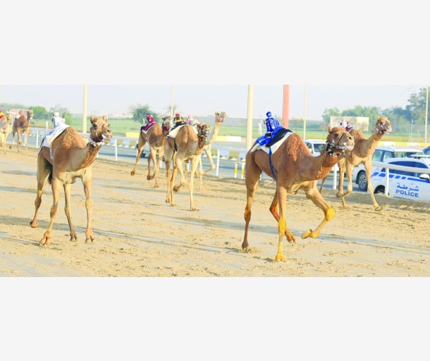 alarab