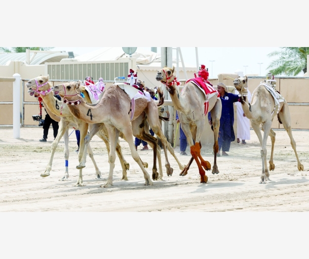 alarab