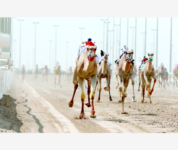 alarab